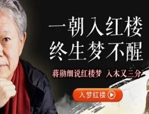 高清超清！蒋勋细说红楼梦80集16回有声小说-小文资源网