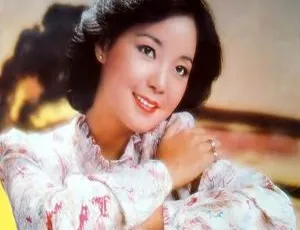 1985 香港邓丽君《オリジナル・ベスト・ヒット》APE 整轨 261.8M 百度盘资源-小文资源网