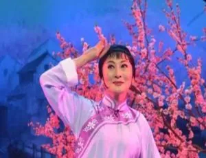 中国风淮剧经典唱段：225 视频 + 881 音频戏曲合集 百度云下载-小文资源网