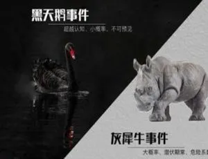 喜马拉雅爆款！《黑天鹅》34 回有声小说 MP3 全音频合集 百度云速下-小文资源网