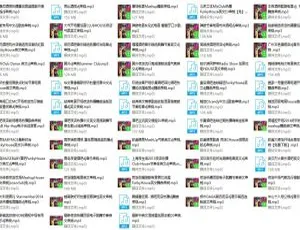 11.11GB！88首酒吧夜店超燃主流DJ舞曲[百度网盘]-小文资源网
