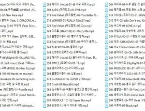 2017 韩国 300 首热门歌曲 872MB 百度网盘资源-小文资源网