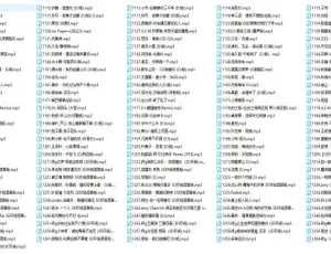 150首DJ抖音中文环绕歌曲 1.77GB 百度网盘下载-小文资源网