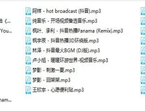 2021 - 2022抖音超火最新歌曲 1.509GB 百度网盘下载-小文资源网