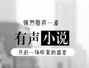 必听！《隐婚》全14回有声小说MP3音频 百度云网盘速下-小文资源网