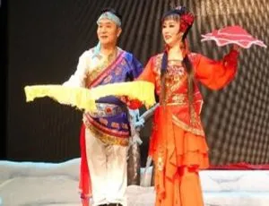 2000+中国风二人转经典唱段视频及800+音频 戏曲合集 百度云网盘下载-小文资源网
