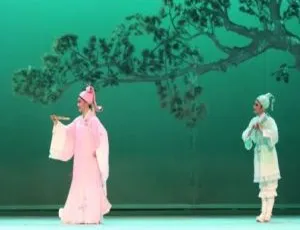 中国风庐剧经典唱段：147 个视频 + 1189 个音频戏曲合集百度云下载-小文资源网