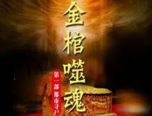 必听！七十播讲《金棺噬魂1都市寻尸》28回MP3音频合集 百度云速下-小文资源网