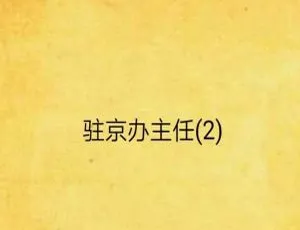 《驻京办主任(二)》24 回全有声小说 MP3 音频 百度云网盘免费下-小文资源网