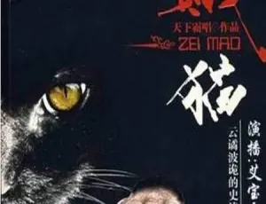 《贼猫》46 回全！艾宝良播讲有声小说 MP3 百度云下载-小文资源网