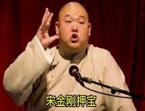 必听！王玥波评书《宋金刚押宝》20 回 MP3 全 集百度云下载-小文资源网