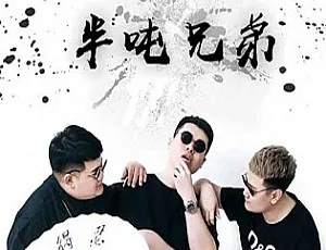 半吨兄弟298首歌曲合集！百度云网盘[FLAC/MP3 3.08GB]免费下载-小文资源网