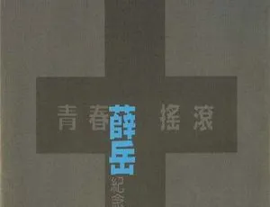 1998 内地薛岳《青春摇滚纪念精选》445.2M 百度盘 WAV+CUE 资源