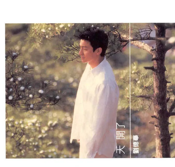 [2001][香港][刘德华]《天开了》APE_整轨_272.4M[百度盘]