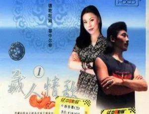 2002内地群星《藏人情歌》2CD 高清 WAV+CUE 494M 百度盘资源-小文资源网