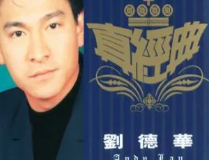 2001 香港刘德华《真经典》APE 整轨 421.9M 百度盘资源-小文资源网