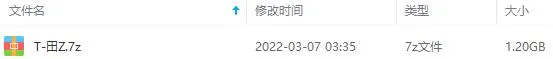 《田震》专辑19张MP3歌曲百度云网盘下载[MP31.20GB]