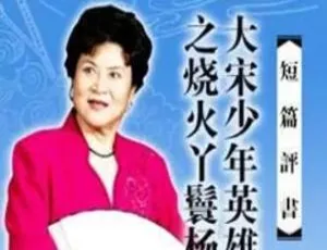 刘兰芳《大宋少年英雄传奇：烧火丫鬟杨排风》15 回 MP3 百度云下载-小文资源网