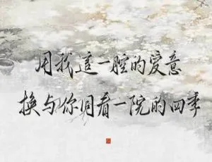 《穿堂惊掠琵琶声》广播剧完结音频MP3全集 百度云速下
