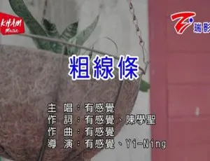 2018内地国语MV《有感觉-粗线条》200MB百度网盘资源-小文资源网