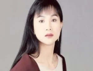 141张凤飞飞无损歌曲专辑！53.80GB FLAC 百度云网盘下载