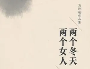 26集全！雷鸣演播有声小说《两个冬天两个女人》百度云音频合集下载