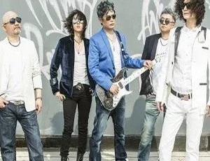 14张黑豹乐队歌曲专辑FLAC无损 4.60GB 百度云网盘打包下载-小文资源网