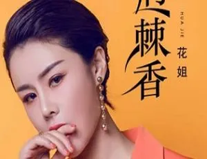 百度云网盘：花姐历年歌曲一键下载