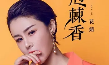 花姐历年歌曲网盘百度云下载