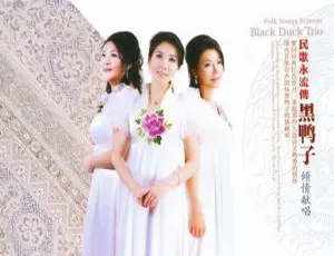 2010内地黑鸭子《十大人声典范 民歌永流传》557.5M 百度盘WAV+CUE资源-小文资源网