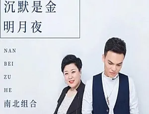 南北组合出道全音乐集：百度云网盘 FLAC+MP3 共 2.45GB 下载
