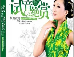2012群星《试音绝赏_发烧靓声》：童丽、龚玥、樊桐舟WAV分轨549M 百度盘快传