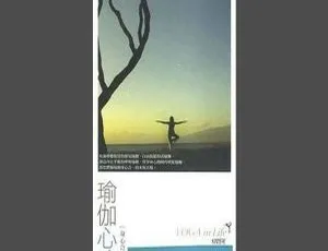 2007内地群星《瑜伽心境界》4CD 百度盘 APE+CUE 318.5M资源