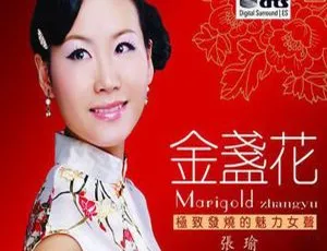 2008内地张瑜《金盏花》DTS-WAV分轨501M 百度盘资源