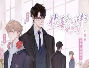 必听！纯爱广播剧《你喜欢的样子我都有》（徐徐图之原著）百度云音频合集下载