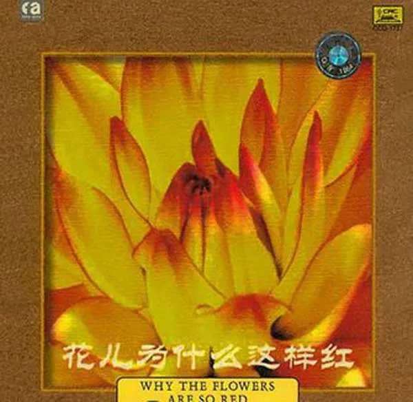 [2009][内地][王洁实 谢莉斯]《花儿为什么这样红》WAV+CUE_544.7M[百度盘]