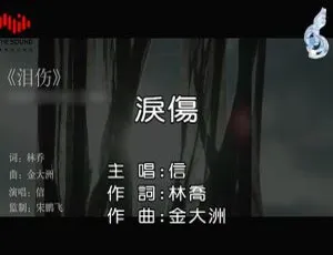 2018 内地国语MV 信《泪伤》107MB 百度网盘资源-小文资源网