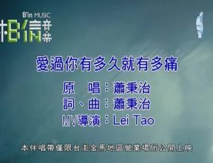萧秉治《爱过你有多久就有多痛》2018 内地国语 MV 86MB 百度网盘资源-小文资源网