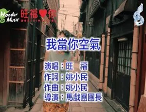 2018 内地旺福《我当你空气》国语 MV 230MB 百度网盘资源-小文资源网