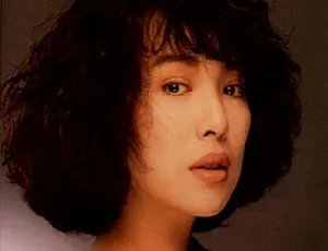 1987 - 1995叶瑷菱13张专辑歌曲合集[FLAC 3.64GB] 百度云网盘下载