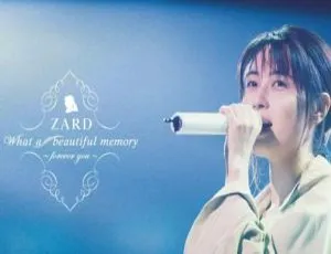 ZARD坂井泉水63张专辑单曲歌曲合集 百度云网盘下载[FLAC/MP3 47.24GB]
