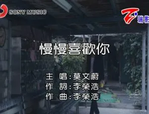 2018 内地莫文蔚《慢慢喜欢你》国语 MV 525MB 百度网盘资源-小文资源网