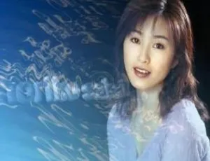 19张CD！酒井法子无损歌曲WAV格式13.48GB百度云网盘下载-小文资源网