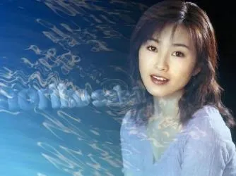 酒井法子[19张CD]无损歌曲百度云网盘下载[WAV13.48GB]