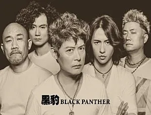 11张专辑！黑豹乐队歌曲合集百度云网盘下载（FLAC/MP3 10.31GB）