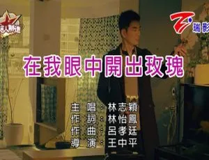 2018 内地国语 MV：林志颖《在我眼中开出玫瑰》 196MB 百度网盘资源-小文资源网