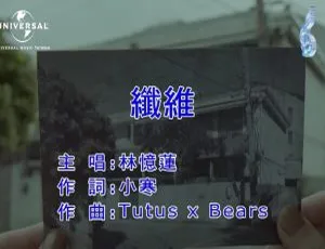 2018内地林忆莲《纤维》国语MV 90MB百度网盘资源-小文资源网