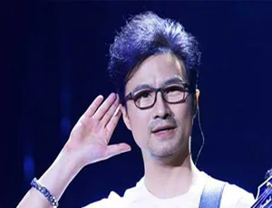 2000 - 2020年汪峰专辑单曲合集！百度云网盘7.54GB FLAC+MP3 下载