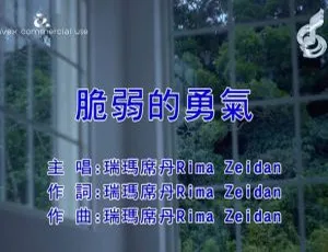 内地 2018 瑞玛席丹《脆弱的勇气》国语 MV 105MB 百度网盘下载-小文资源网