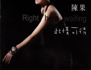 2013香港陈果《此情可待》粤语WAV 369.7M 百度盘资源